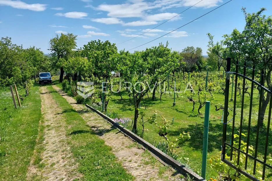 mandićevac, vikendica 66 m² s vinogradom, izvrsna investicija - slika 17