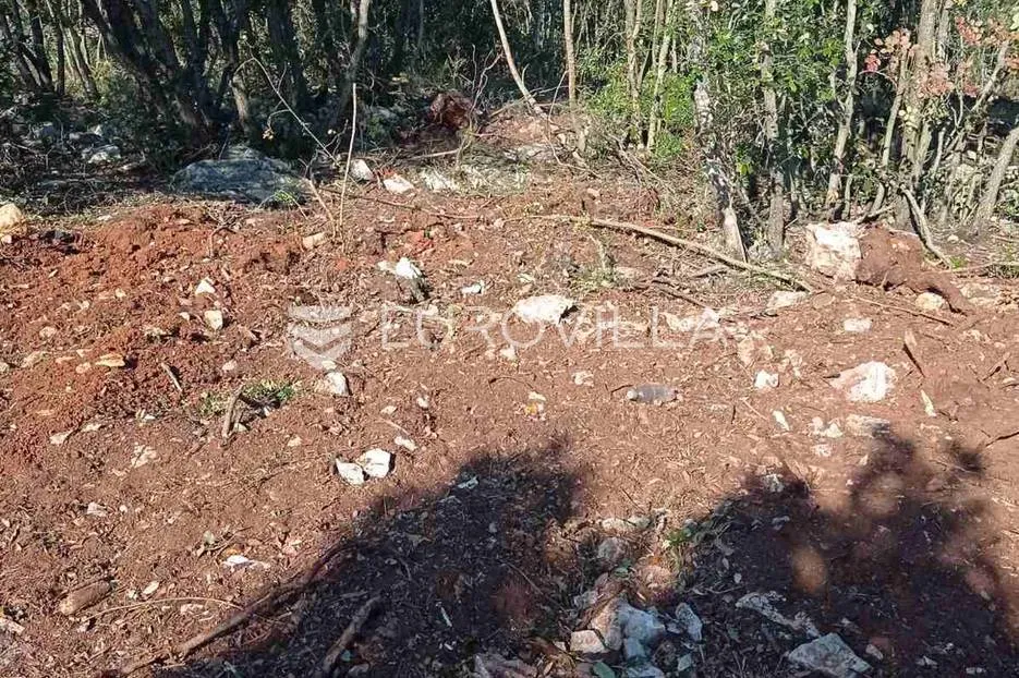 marčana, kavran, poljoprivredno zemljište 1600 m2 - slika 3
