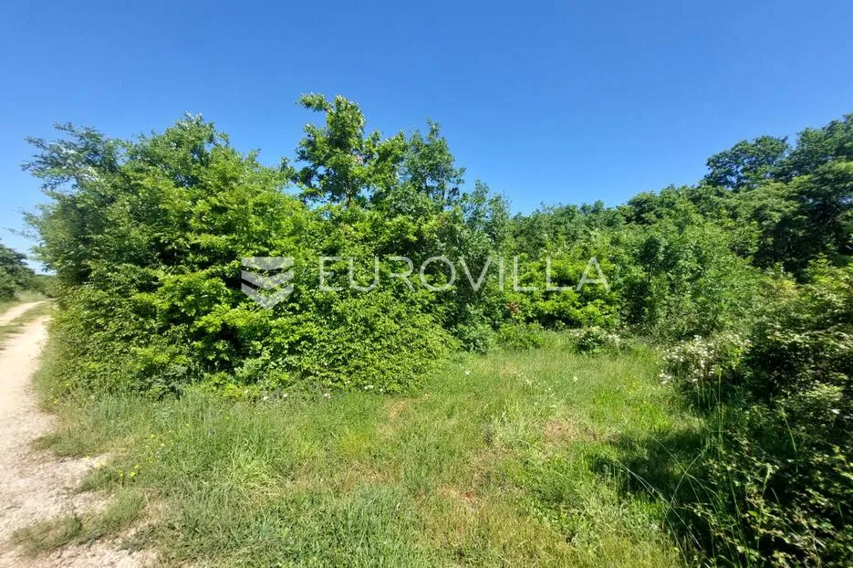 Istra, Loborika, poljoprivredno zemljište s uređenim putem