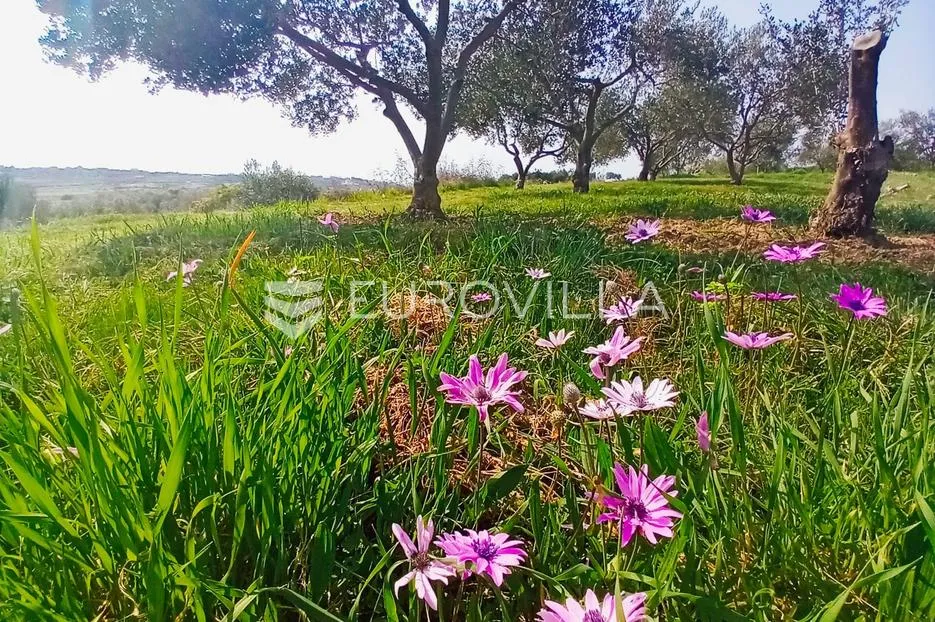 zadar, crno, moderna vila na predivnoj privatnoj lokaciji - slika 39