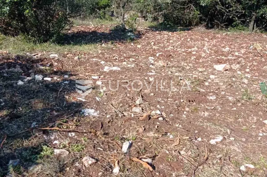 marčana, kavran, poljoprivredno zemljište 1600 m2 - slika 2
