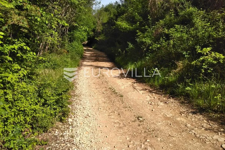 istra, poreč - poljoprivredno zemljište 62710 m2 - slika 9