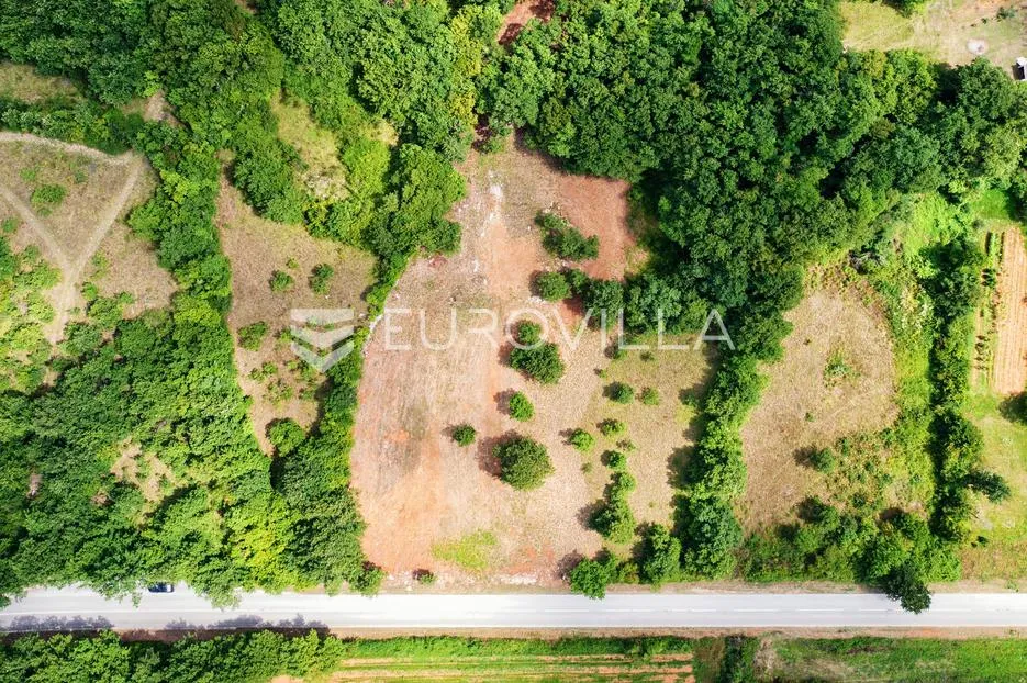 barban, rojnići, prekrasno pravokutno građevinsko zemljište 910 m² - slika 3