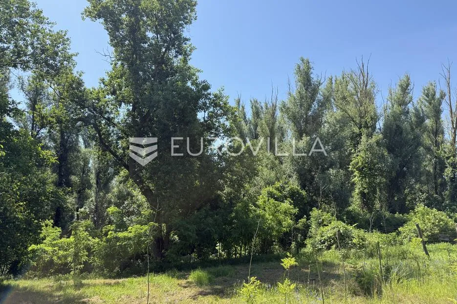 osijek, bilje, prodaje se uređena kuća u rustikalnom stilu na parceli od 25.000 m² - slika 19