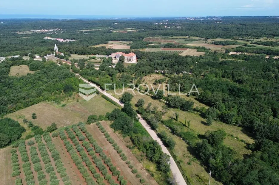 Istra, Višnjan, poljoprivredna parcela 8250 m², prekrasna lokacija - Žužići, Višnjan