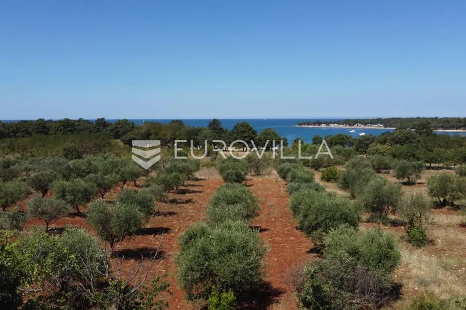 istra, poreč, luksuzna vila na 400m od mora - slika 30