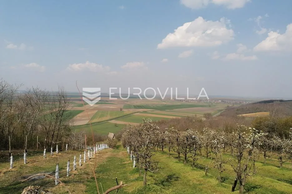 baranja, popovac, imanje s tri objekta, bazenom i 6ha zemlje proizvodnja - slika 35