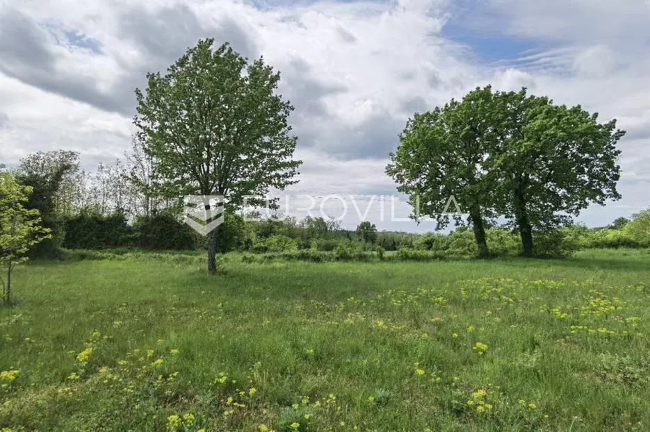 višnjan, građevinsko zemljište za investiciju, 12000 m2 - slika 6