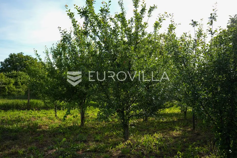 tovarnik, izuzetna prilika, prostrana kuća s tri stana i okućnicom od 1.949 m² - slika 33