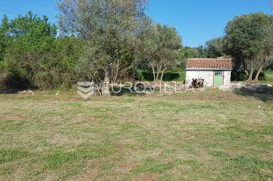 istra, rovinjsko selo, prostrano poljoprivredno zemljište 27672m2 - slika 13