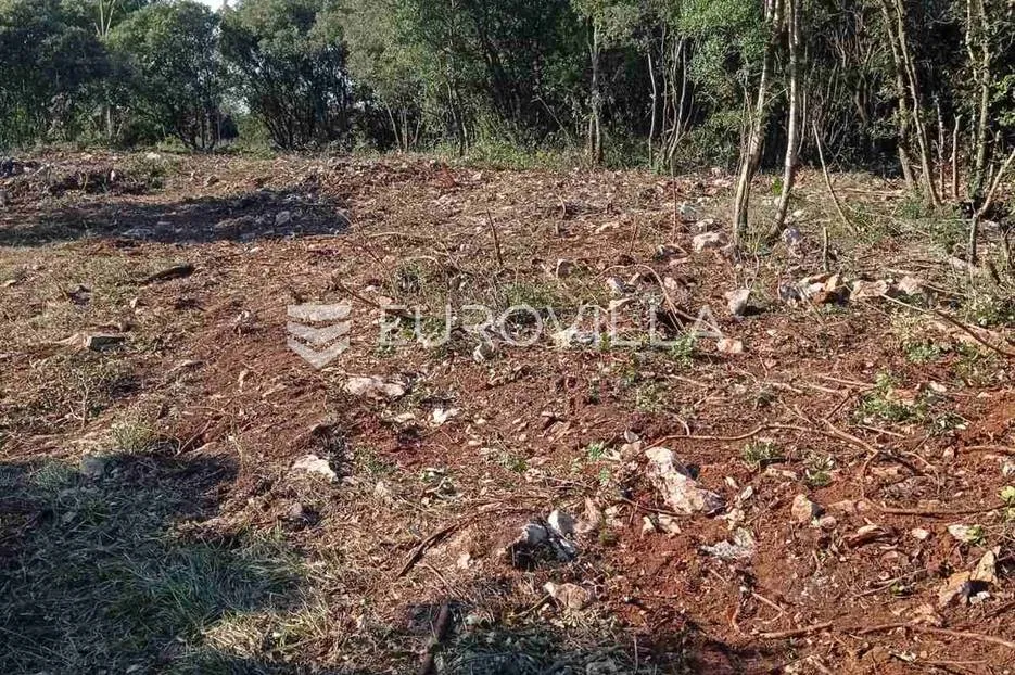 marčana, kavran, poljoprivredno zemljište 1600 m2 - slika 5