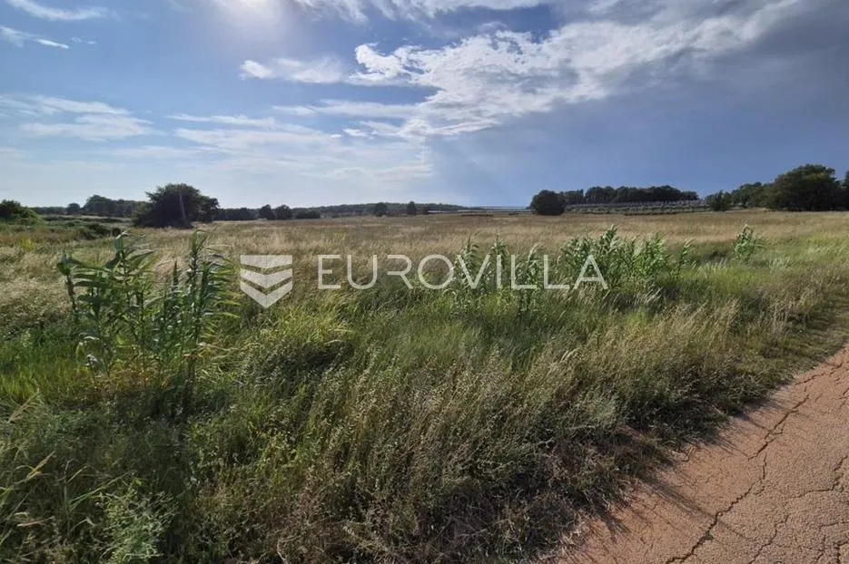 kaštelir, cerjani, poljoprivredno zemljište 32619 m² - slika 6