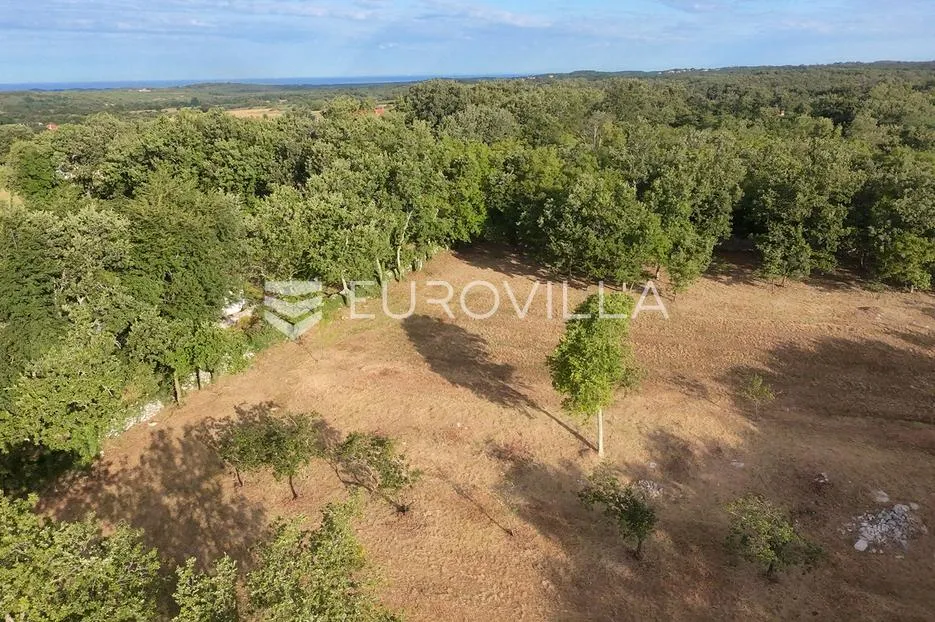 Istra, Tinjan, Građevinsko zemljište NKP 3623 m2