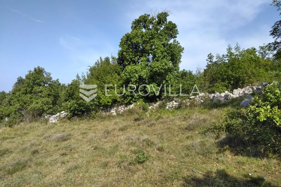 istra, poreč - poljoprivredno zemljište 62710 m2 - slika 4