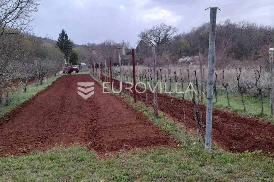 labin okolica, stara kamena kuća s 27.000 m² poljoprivrednog zemljišta, vinograd i voćnjaci - slika 5