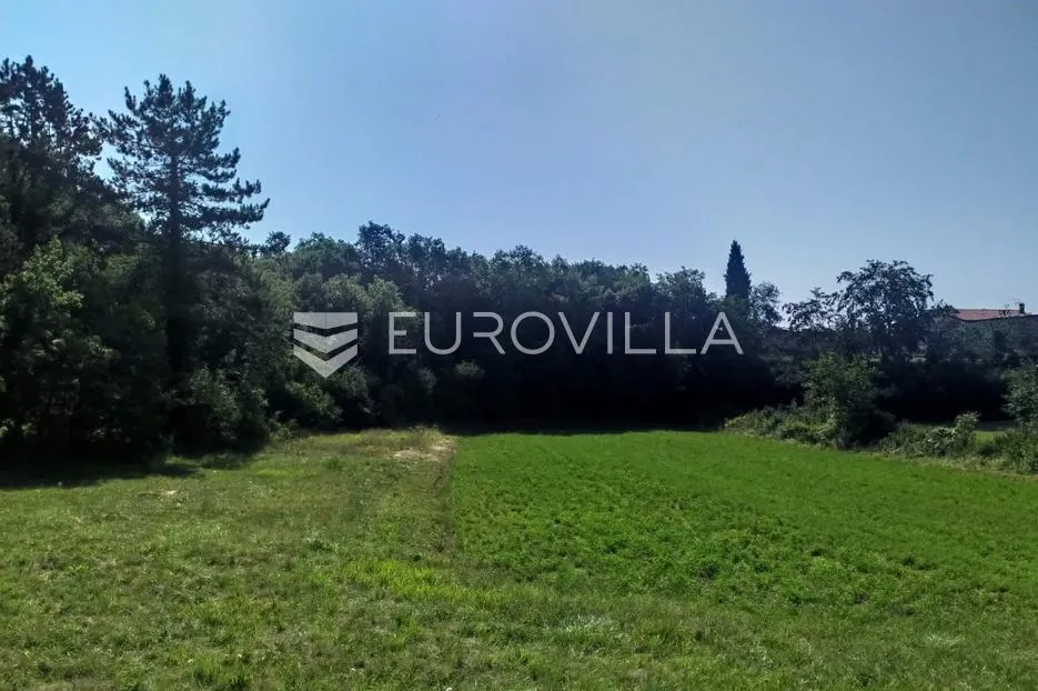 istra, tinjan, građevinsko i poljoprivredno zemljište 4557 m² - slika 4