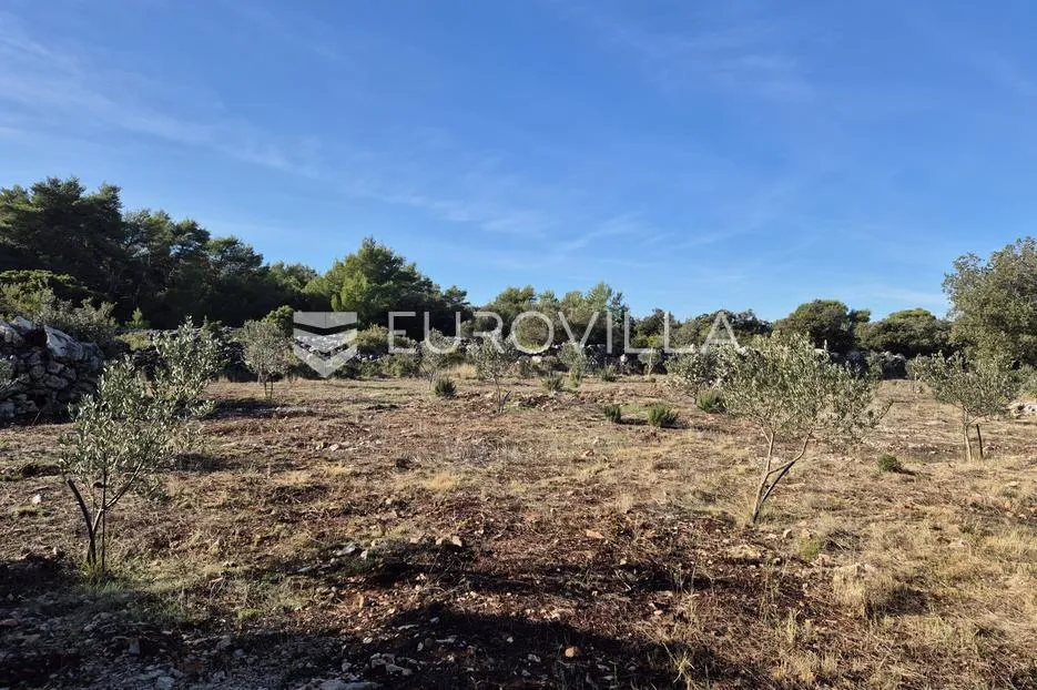 šolta, gornje selo, poljoprivredno zemljište s maslinikom površine 2.653 m² - slika 9