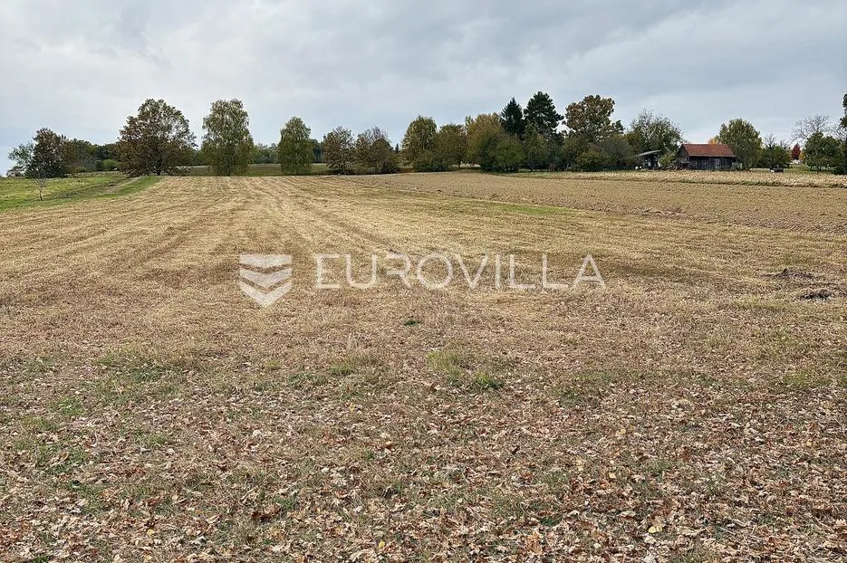 čazma, palančani, građevinsko zemljište površine 2914 m² s voćnjakom i oranicom - slika 2