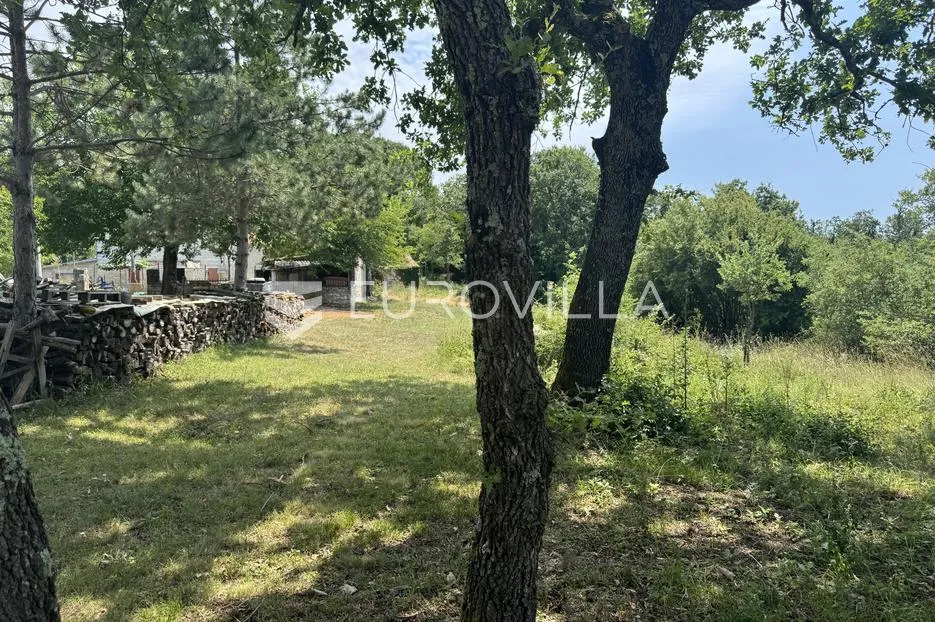 istra, sveti lovreč okolica, građevinsko 538m2 i poljoprivredno zemljište ukupne površine 48294m2 - slika 2