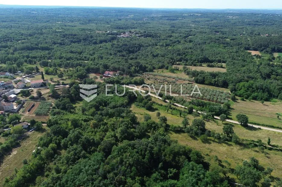 istra, višnjan, poljoprivredna parcela 8250 m², prekrasna lokacija - slika 2