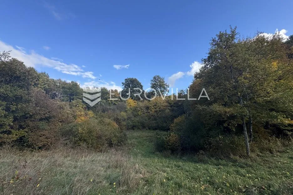 istra, heki, građevinsko zemljište 5999 m² u centru istre - slika 3