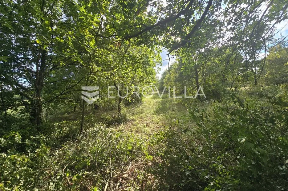 istra, krnica, poljoprivredno zemljište 3854 m² - slika 2