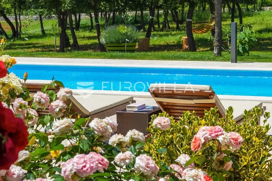 istra, bale, vila s bazenom na imanju od 30.000 m2 u osami - slika 12