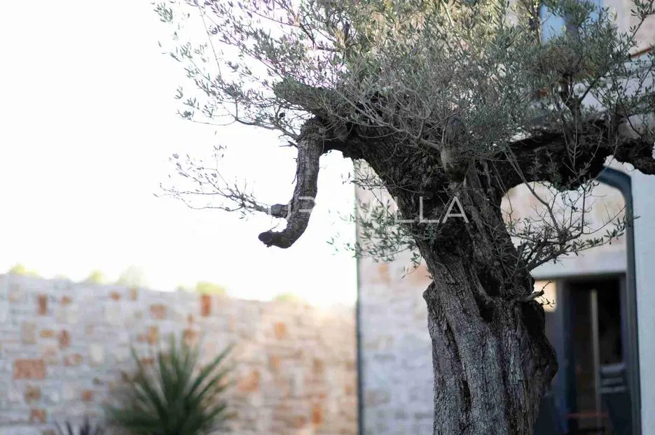 istra, vižinada, kamena kuća s bazenom i pogledom na more - slika 22