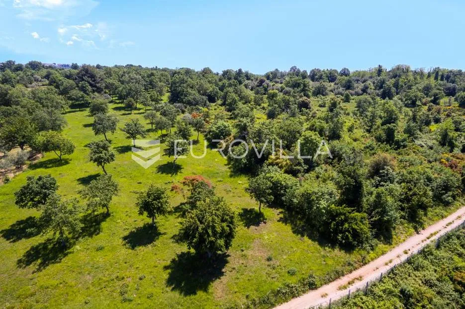 istra, tar - građevinsko zemljište 1. red do mora sa panoramskim pogledom - slika 5
