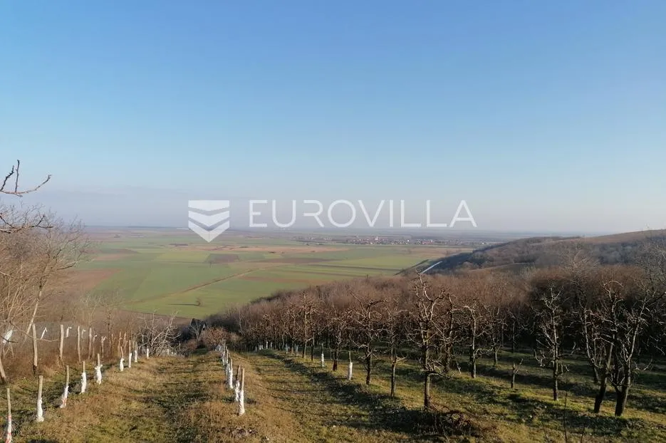baranja, popovac, imanje s tri objekta, bazenom i 6ha zemlje proizvodnja - slika 32