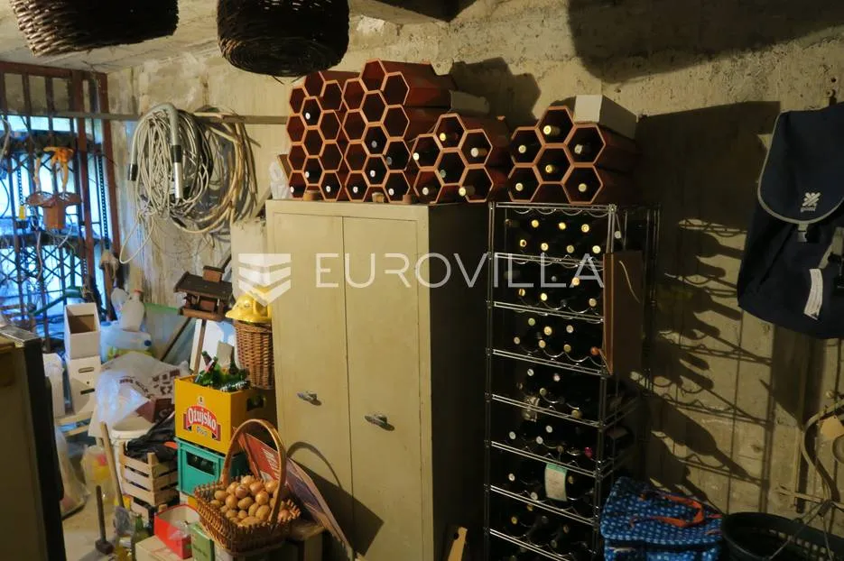 zagreb, zelenjak, obiteljska kuća 500m2 - slika 29