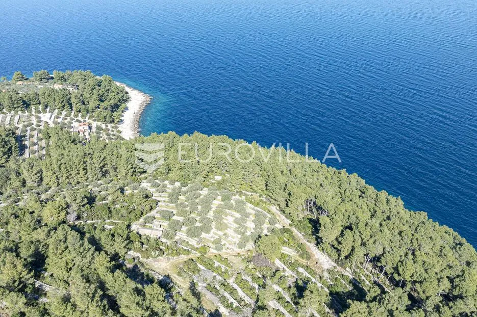 korčula, vela luka, poljoprivredno zemljište uz more - slika 2