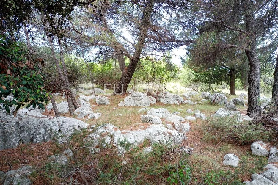brač, donji humac, zemljište površine 10984 m² - slika 7