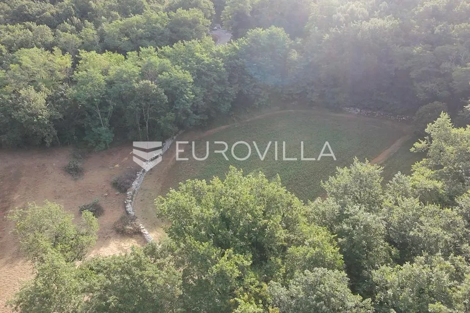 istra, tinjan, građevinsko zemljište nkp 3623 m2 - slika 13