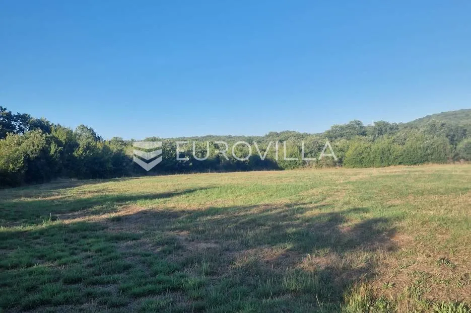 poljoprivredno zemljište, rovinjsko selo 8050m2 - slika 5