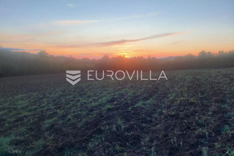 istra, draguć, poljoprivredno zemljište pogodno za vinograd 11174m2 tik ispod naselja - slika 5