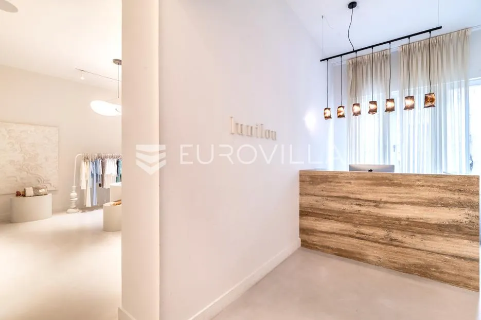 ilica poslovno, stambeni prostor 227.32 m² s parkingom - slika 10