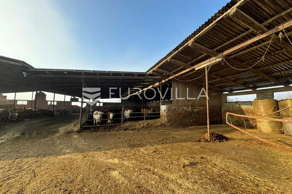 selci đakovački, govedarska farma s mogućnošću prenamijene, 11370 m² - slika 4