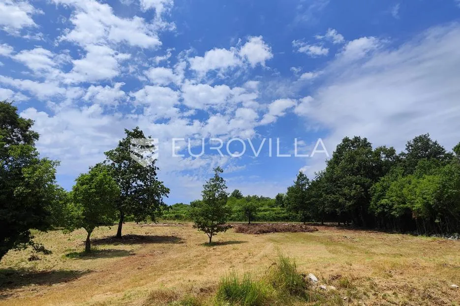 barban, rojnići, prekrasno pravokutno građevinsko zemljište 910 m² - slika 14