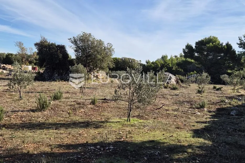 šolta, gornje selo, poljoprivredno zemljište s maslinikom površine 2.653 m² - slika 5