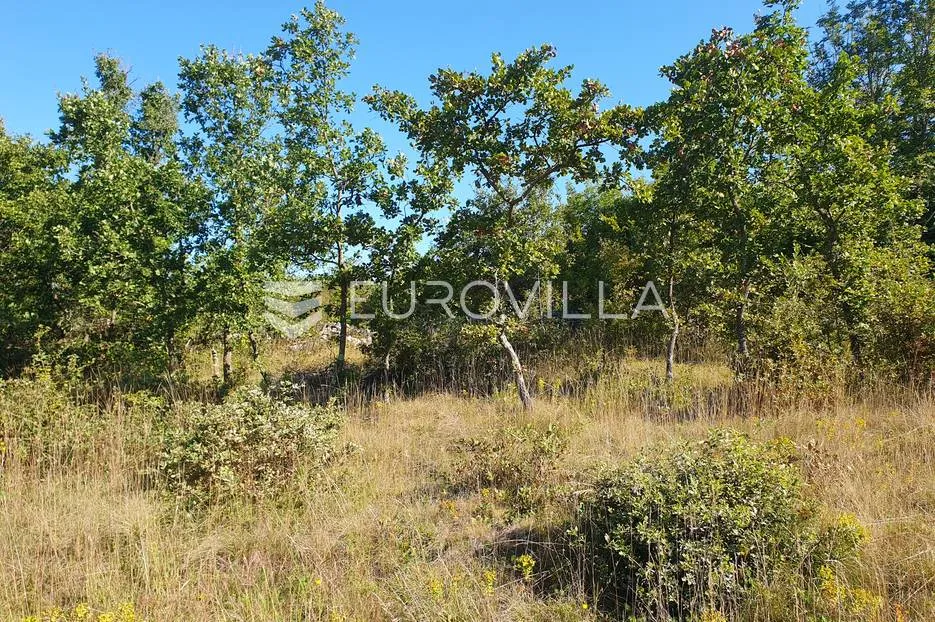 istra, baderna, poljoprivredno zemljište 12.120m2 - slika 3