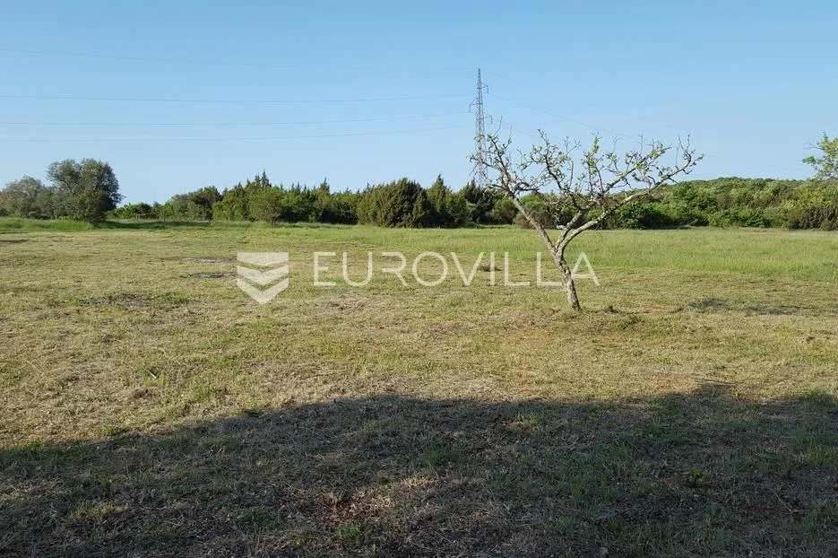 istra, rovinjsko selo, poljoprivredno zemljište 7217m2 - slika 3