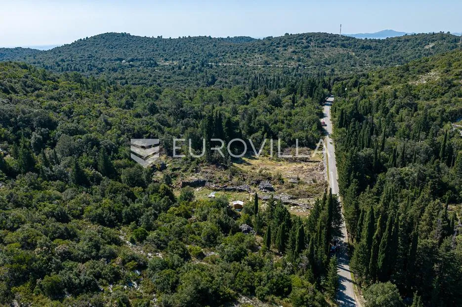 korčula, pupnat, poljoprivredno zemljište uz cestu površine 9.400 m² - slika 2