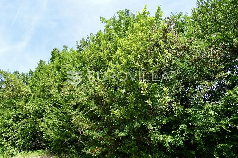 opatija, baredi, građevinski teren 2.056 m² - slika 9