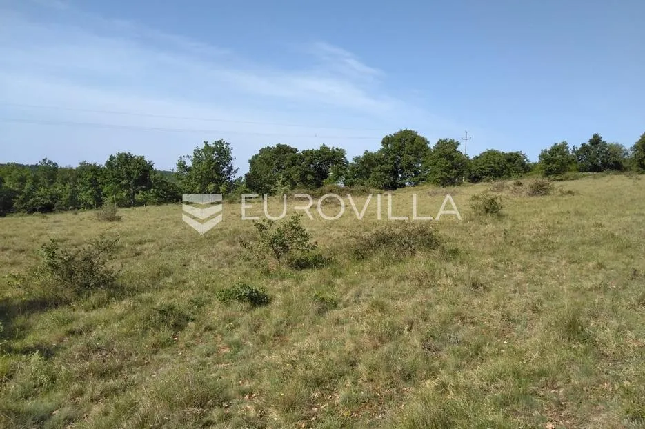 istra, poreč - poljoprivredno zemljište 62710 m2 - slika 3