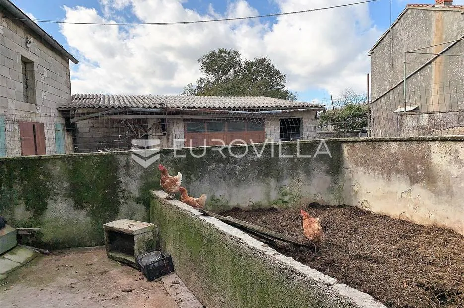 istra, barban, dvojna kamena kuća za adaptaciju - slika 15