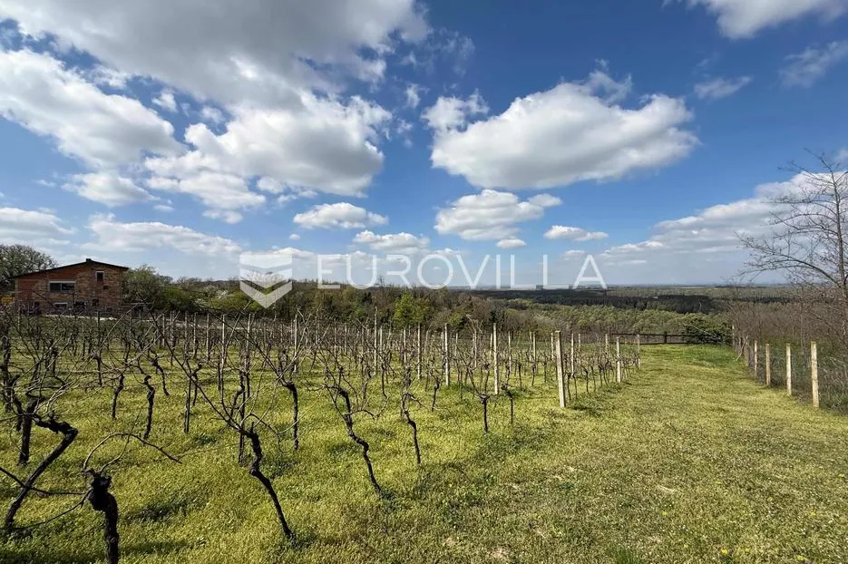 batina, zemljište s vinogradom i predivnim pogledom, 3274 m² - slika 2