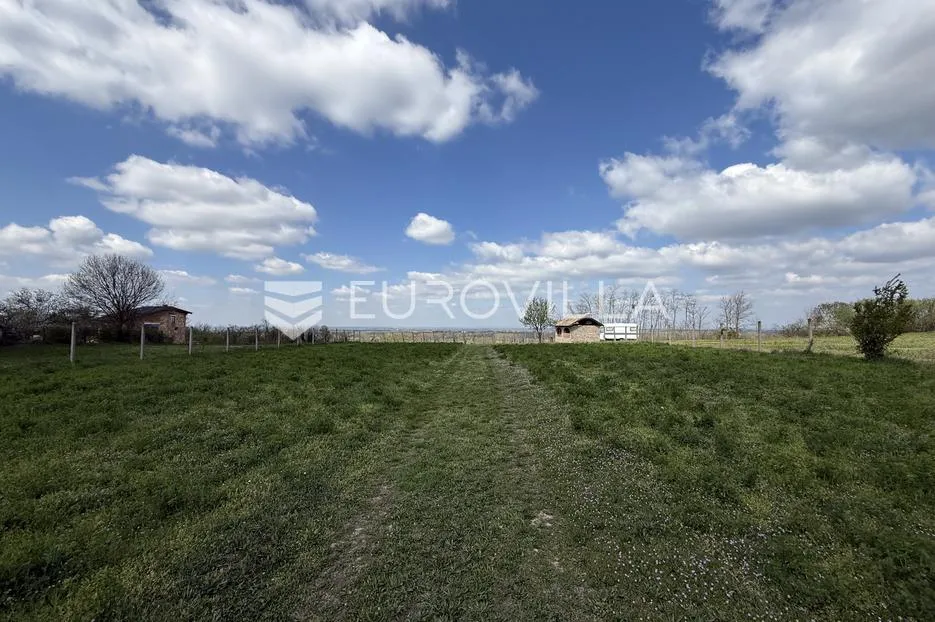 batina, zemljište s vinogradom i predivnim pogledom, 3274 m² - slika 6