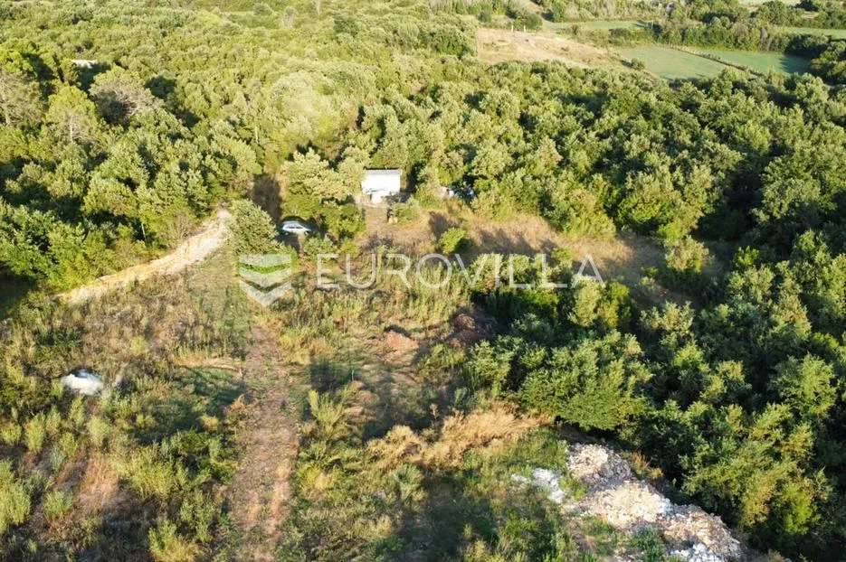 istra, vodnjan, kombinacija građevinskog i poljoprivrednog zemljišta sa šumom, rijetkost na tržištu - slika 2