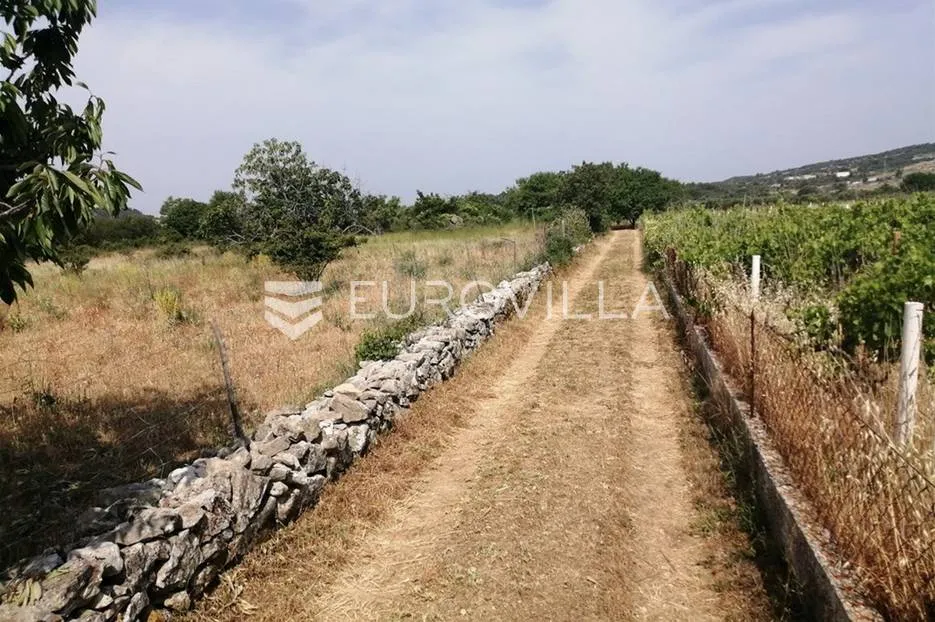 brač, poljoprivredno zemljište u unutrašnjosti otoka (12 860 m2) - slika 3